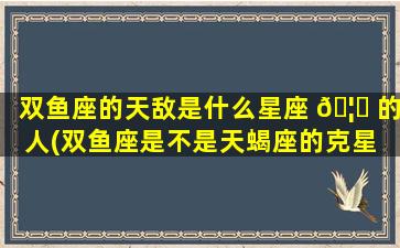 双鱼座的天敌是什么星座 🦄 的人(双鱼座是不是天蝎座的克星 🪴 )